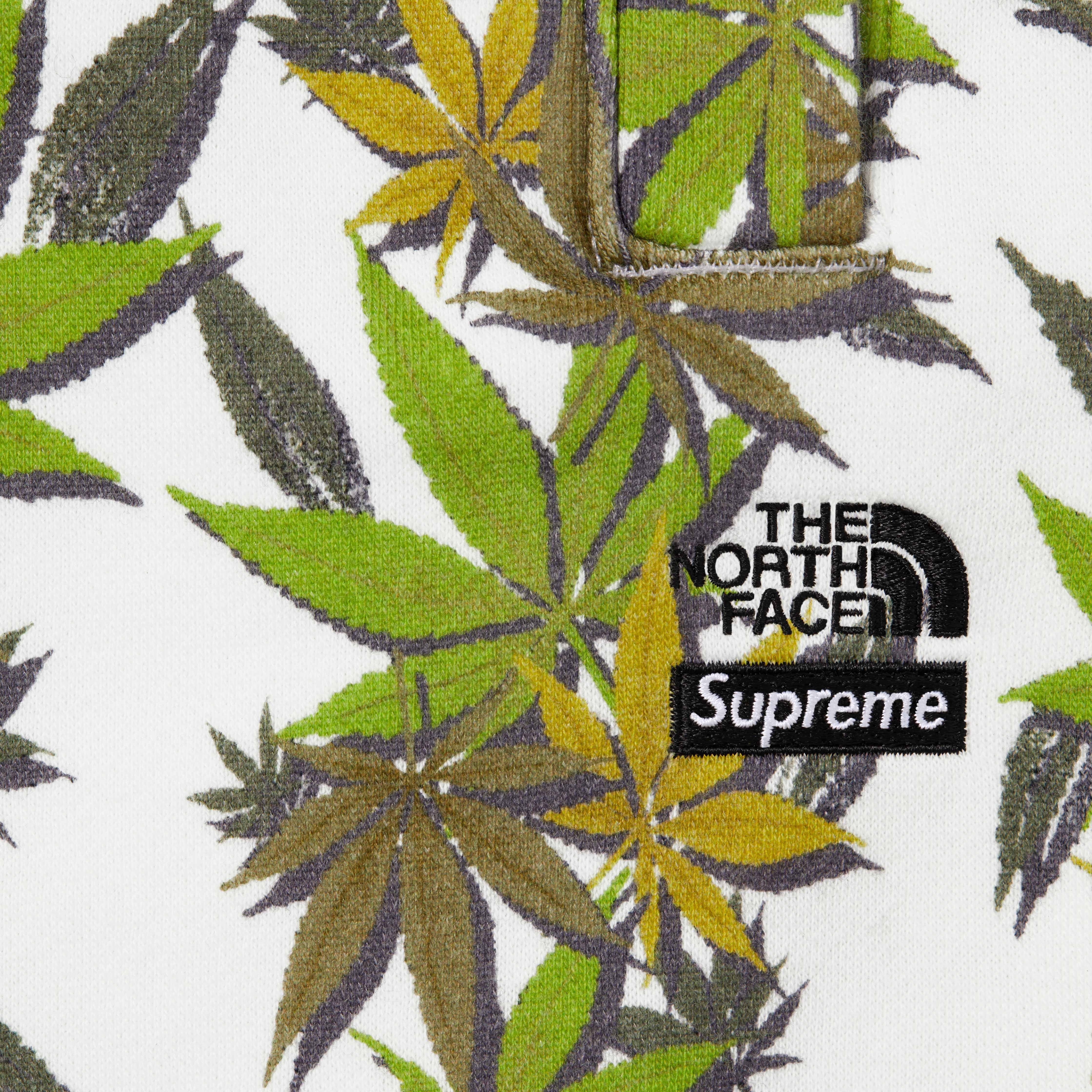 Supreme®/The North Face® Leaf Sweatpant view 8